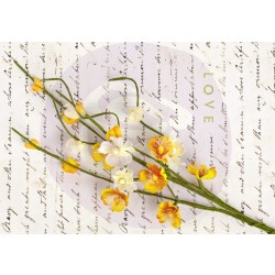 Веточки цветов Divine Solid Flower Vine-Yellow от Prima Marketing