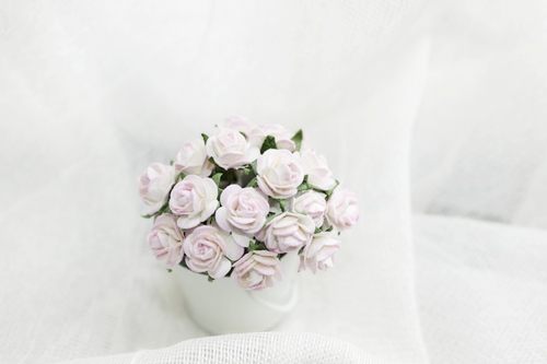 Розы 10 мм, бледно-розовые пестрые 10шт.